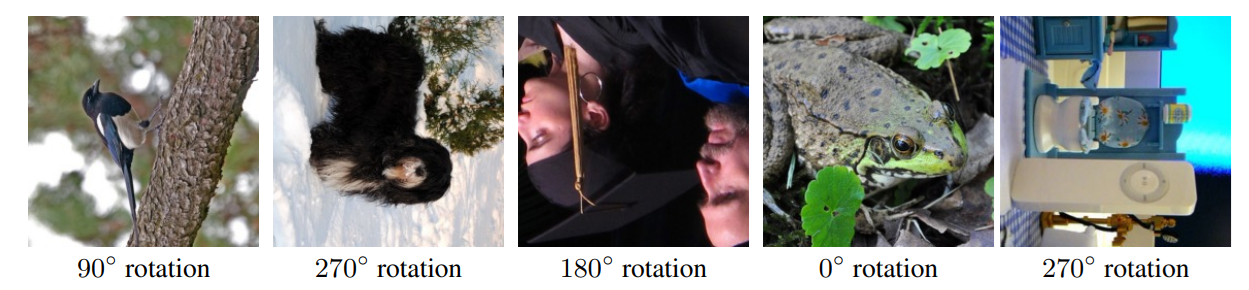rotnet.png